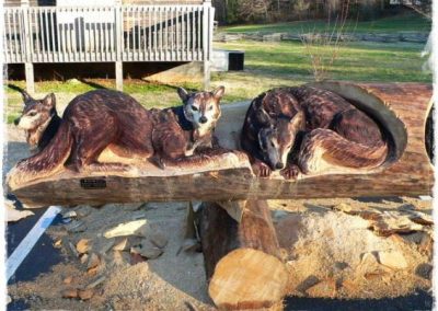 Foxes at play.