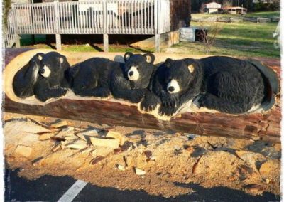 Three sleepy bears.
