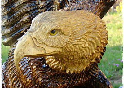 Eagle head details.