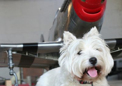 Bonnie with the nearly finished P-51D.