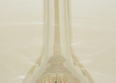A tall ship in a bottle.