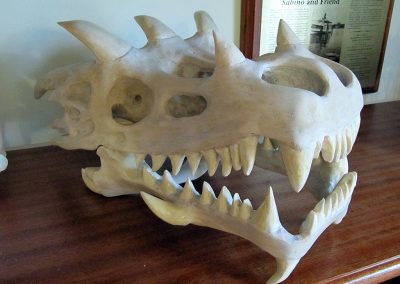 A carved wooden skull.