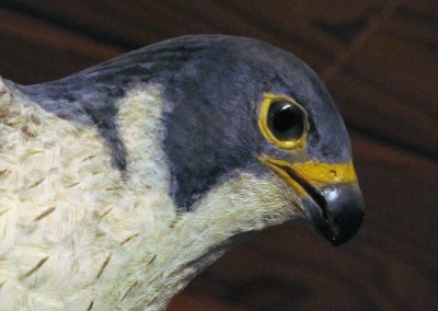 A carved wooden peregrine falcon.