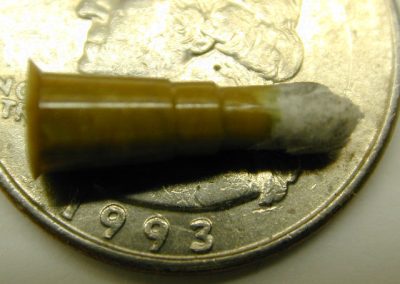 A sulfur casting of the chamber.
