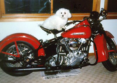 Jerry's full-size 1947 Harley-Davidson Knucklehead motorcycle.