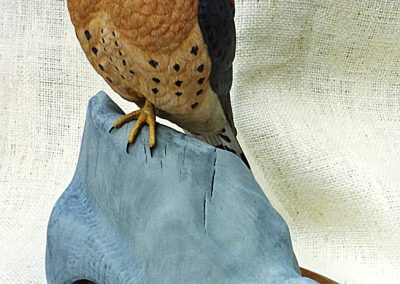 Sheridan carved this American Kestrel from basswood.