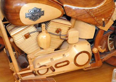 Sunia's Harley-Davidson Softail with sidecar.