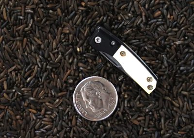 A custom miniature folding knife made by Brian Jacobson.