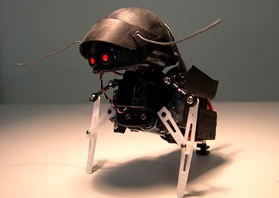 Another look at the tiny SwashBot.
