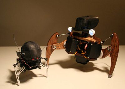 Both of I-Wei’s SwashBots stand together.