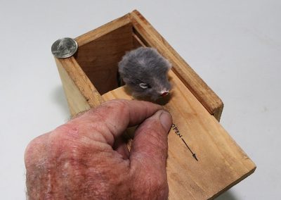 Another one of Birk’s more creative projects is called, “Mousie Surprise.”
