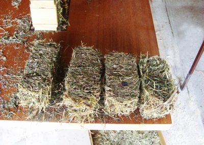 Here are the small finished bales.