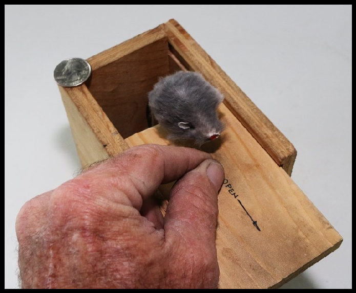 “Mousie Surprise” Pop-Up Box